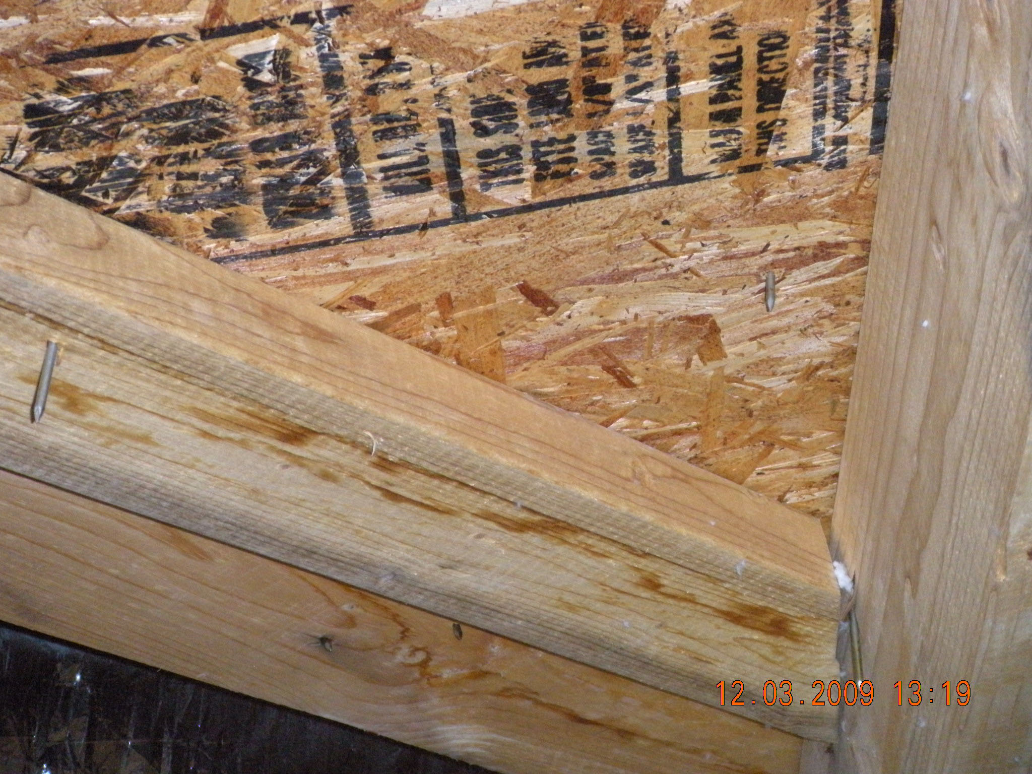Carolina Quality Home Inspection photo 39